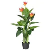 P&b Kunstpflanze Guzmania ca. 40cm