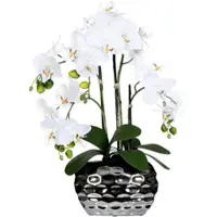 P&b Kunstpflanze Orchideen Grün ca. 55cm