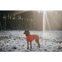 Hunter Hundemantel Nordby 32,5 orange