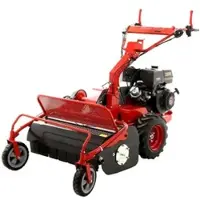 Blue Bird SG0813 - Professioneller Schlegelmulcher - Motor Loncin G390F