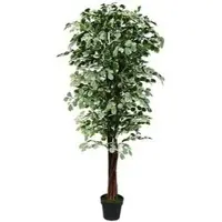 Decovego Kunstpflanze Ficus Benjamin, Kunstbaum im Topf, mit Echtholzstamm, Höhe 180 cm