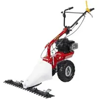 Eurosystems P70 EVO - Mehrzweck Doppelmesser Balkenmäher - B&S 850iS