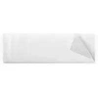 Tts Einweg-Staubtücher aus Vlies 30x60cm - 1 Karton (20x50 Tücher)