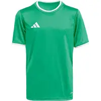 Adidas Entrada 26 Trikot 164 team green/white
