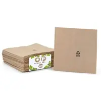 Biozoyg 100 Stück Servietten 33x33cm Papierservietten, Einwegservietten, 2-lagig, 1/4 Falz, aus Recyclingpapier, ideal für Gastronomie und Events