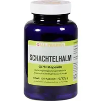 Hecht-Pharma Gmbh Schachtelhalm-Kapseln 120 ST