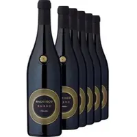 Botter Casa Vinicola S.P.A. 2025 Magnifico Fuoco Primitivo im 6er-Vorratspaket