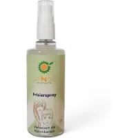 Sanoll Biokosmetik Frisierspray 100 ml Spray