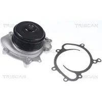 TRISCAN Wasserpumpe 8600 23081