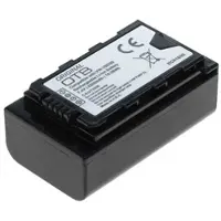 AccuCell Akku wie Panasonic VW-VBD29, für PANASONIC -VW-VBD78, 2200mAh