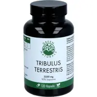 Heilpflanzenwohl GmbH Green Naturals Tribulus Terrestris 2.250 mg Vegan 120 ST