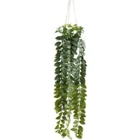 Momax Kunstpflanze Columnea II Grün