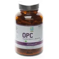 APOZEN VERTRIEBS GmbH Opc 200 mg 120 ST
