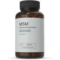 Agile Now MSM Hochdosiert 90 St Kapseln