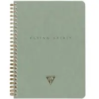Clairefontaine 5x Flying Spirit Green, Notizbuch mit Doppelspirale, A5 14,8x21cm, 60Bl abtrennbar, liniert, 90g - Graugrün 107566C