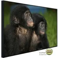 Papermoon Infrarotheizung »EcoHeat - Baby Bonobos«, Matt-Effekt - bunt