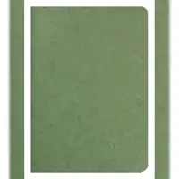 Clairefontaine 5x Age Bag, Notizbuch mit Drahtheftung A5, 48 Blatt 90g blanko - Grün 733103C