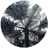 Wallart K&L Wall Art Vliestapete »Runde Vliestapete«, Kubistika Tropen Wald Palmen, mehrfarbig, matt - bunt