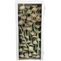Flowerbox Trockenblumen - blau
