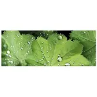 MySPOTTI Badrückwand »Good Morning«, BxH:120 cm x 45 cm, blau