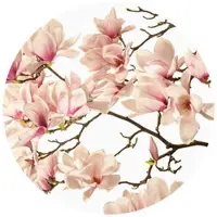 Wallart K&L Wall Art Vliestapete »Runde Vliestapete«, Kadam Rosa Knospen Magnolia, mehrfarbig, matt - bunt