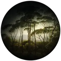 Wallart K&L Wall Art Vliestapete »Runde Vliestapete«, Kiefern Wald Retro Landschaft, mehrfarbig, matt - bunt
