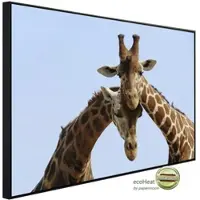 Papermoon Infrarotheizung »EcoHeat - Verliebte Giraffen«, Matt-Effekt - bunt