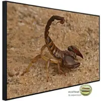 Papermoon Infrarotheizung »EcoHeat - Aggressiver Skorpion«, Matt-Effekt - bunt