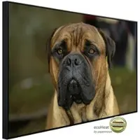 Papermoon Infrarotheizung »EcoHeat - Bullmastiff«, Matt-Effekt - bunt