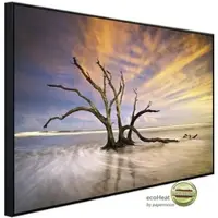 Papermoon Infrarotheizung »EcoHeat - Torheit Strand toter Baum«, Matt-Effekt - bunt