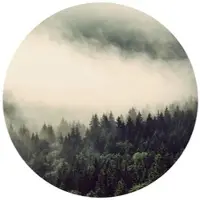 Wallart K&L Wall Art Vliestapete »Runde Vliestapete«, Nebel Wald Tannenwald Natur, mehrfarbig, matt - bunt