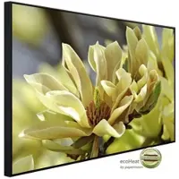 Papermoon Infrarotheizung »EcoHeat - Schmetterlinge Magnolie«, Matt-Effekt - bunt