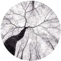 Wallart K&L Wall Art Vliestapete »Runde Vliestapete«, Pavlasek Märchen Baumkronen, mehrfarbig, matt - bunt