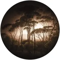 Wallart K&L Wall Art Vliestapete »Runde Vliestapete«, Retro Wald Sepia Urwald Foto, mehrfarbig, matt - bunt