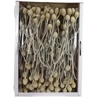 Flowerbox Trockenblumen - beige