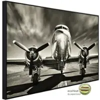 Papermoon Infrarotheizung »EcoHeat - Flugzeug Schwarz + Weiss«, Matt-Effekt - bunt