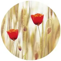 Wallart K&L Wall Art Vliestapete »Runde Vliestapete«, MohnBlumen Mohn Blumen, mehrfarbig, matt - bunt