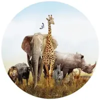 Wallart K&L Wall Art Vliestapete »Runde Vliestapete«, Afrika Tiere Safari Waldtiere, mehrfarbig, matt - bunt