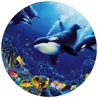 Wallart K&L Wall Art Vliestapete »Runde Vliestapete«, Orcas Ozean Orkas Kinderzimmer, mehrfarbig, matt - bunt