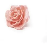 Flowerbox Wachsrose - orange