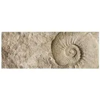 MySPOTTI Badrückwand »Fossil«, BxH:120 cm x 45 cm, beige