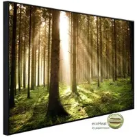 Papermoon Infrarotheizung »EcoHeat - Herbstkiefernwald«, Matt-Effekt - bunt