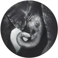 Wallart K&L Wall Art Vliestapete »Runde Vliestapete«, Baby Elefant Safari Tiere Kinder, mehrfarbig, matt - bunt