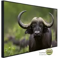 Papermoon Infrarotheizung »EcoHeat - Afrikanischer Büffel«, Matt-Effekt - bunt