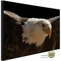 Papermoon Infrarotheizung »EcoHeat - Adler«, Matt-Effekt - bunt