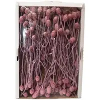 Flowerbox Trockenblumen - rosa