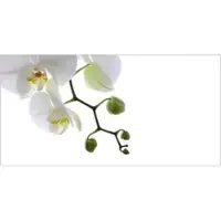 MySPOTTI Badrückwand »Orchidee Phala«, BxH:90 cm x 45 cm, weiß
