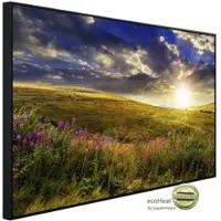 Papermoon Infrarotheizung »EcoHeat - Wilder Blumen«, Matt-Effekt - bunt