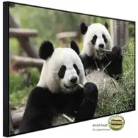 Papermoon Infrarotheizung »EcoHeat - Riesige Pandas«, Matt-Effekt - bunt