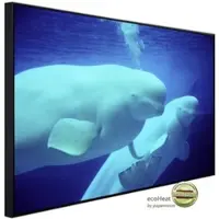 Papermoon Infrarotheizung »EcoHeat - Beluga Wale«, Matt-Effekt - bunt